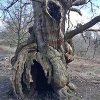 FortyFouristheMagicNumber (@fouristhe) 's Twitter Profile Photo FortyFouristheMagicNumber (@fouristhe) 's Twitter Profile Photo