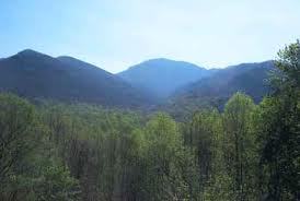 Enjoy the scenic beauty of the Smoky Mountains.  We offer information, culture, and  travel deals to this great place