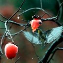 Marc Caraveo - @marco923 - Twitter