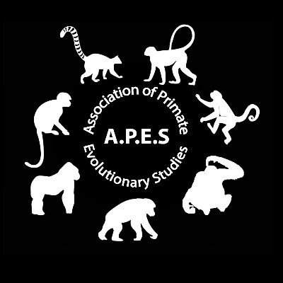 Association for Primate Evolutionary Studies at California State University, Fullerton (@csuf)
