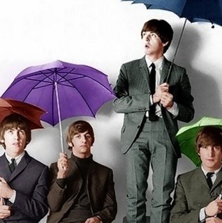 cr19's profile picture. 