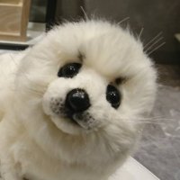 ポカ (@phoca_song) Twitter profile photo