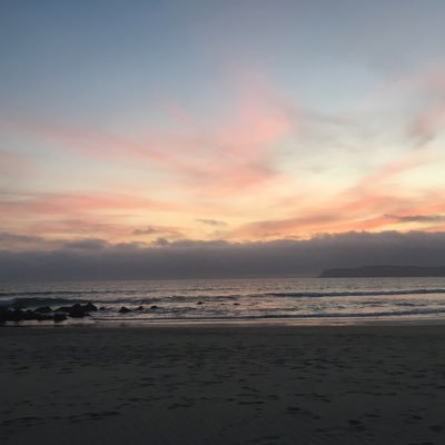 hekelalynn's profile picture. here for cute animal videos and profound revelations about humanity
