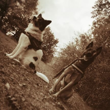 HYPNO0W's profile picture. Je sais pas ce que je fais la