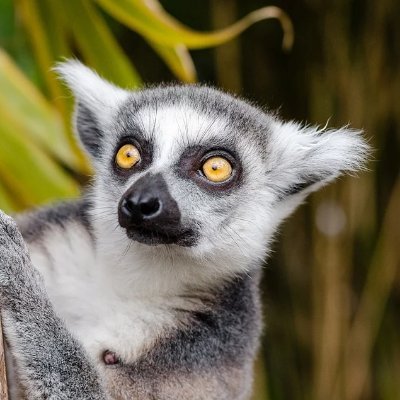 nightknows's profile picture. Infosec newbie, Bacon junkie. Coffee nerd. Lifelong alcohol enthusiast. Reader.