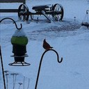 Angela Armour - @angiearmour - Twitter