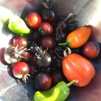 neluunaa's profile picture.
