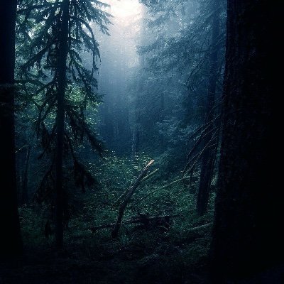 https://t.co/Ne4O5udWJa
My YouTube channel is all about relaxation sounds , nature sounds and meditation go check it out