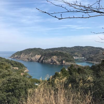 _2_3_5_7_11_n's profile picture. 