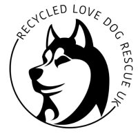 Recycled Love Dog Rescue UK(@recycled2019) 's Twitter Profile Photo