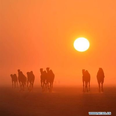 u_woen's profile picture. Student