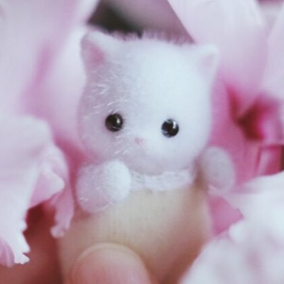 シルバニアファミリーのペルシャネコの赤ちゃんと一緒🐱🍼ふわふわでとってもかわいいね🔰シルバニアがいればhappy😚