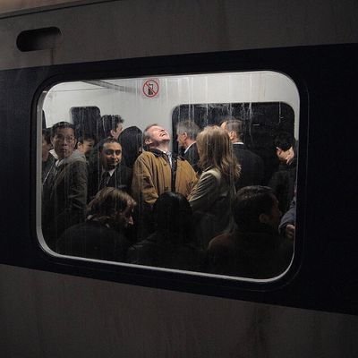 ilcyb16's profile picture. 