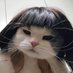 Gatitos Que Curan Tu Depresion (@gatitodepresion) Twitter profile photo Gatitos Que Curan Tu Depresion (@gatitodepresion) Twitter profile photo