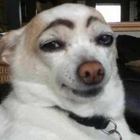 Crypt0Nancy's profile picture. Little miss Precoiner