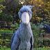 TheShoebill (@TheShoebill) Twitter profile photo