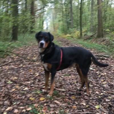 fazer041's profile picture. Das Leben ist interessant