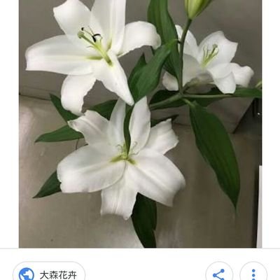 us96802523's profile picture. 宝塚の舞台！