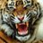 tigre9161's profile image