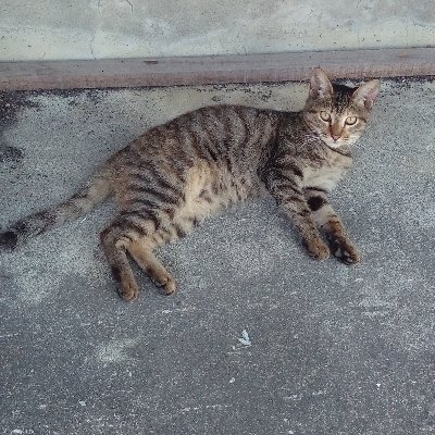 Ramirezさんのプロフィール画像