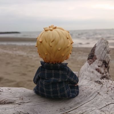 kuzumi819's profile picture. ハイキュー!!/2.5次元/ドライブ・お散歩・舞台観劇が好き。
成人済【20↑】夢・NL・BL好き雑食。ハイキュー!!(月島蛍)呪術(五条 悟・夏油傑)に落ちてたり…推しが増えるこの頃(笑)
基本的にまったりした日々を過ごしてます。小さい つっきーと暮らしてます。
もふもふのユキヒョウに心を奪われ、癒やされてます。