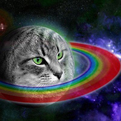 “A Planetoid where unconditional Cat Lovers meet