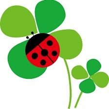 Ladybug