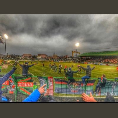 AllyMcilveen1's profile picture. 