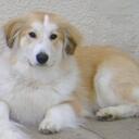 Lea Jacobs - @MelynRhos - Twitter