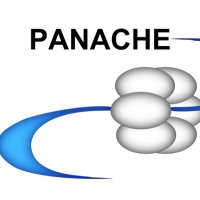 FET_PANACHE (@fet_panache) 's Twitter Profile