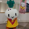 karamin_shimojo's profile picture. 長野県下條村のゆるキャラ【からみん】だよ。
蕪みたいに見えるけど、大根だから、間違えないでね🎵