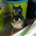 Ryan Gan - @RyAnGaN1117 - Twitter