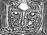 toby_borrow's profile picture. Scraping the bottom of the barrel