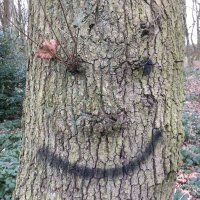 WildMaths (@wildmaths) 's Twitter Profile