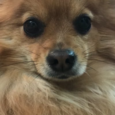 せさんのプロフィール画像