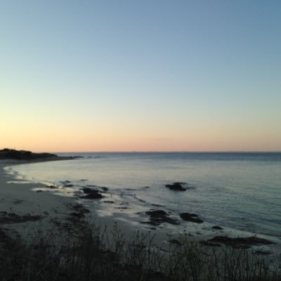 LiiLMaTeO's profile picture. 