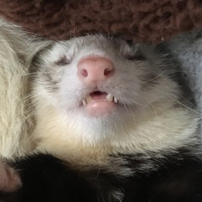 つむぎさんのプロフィール画像
