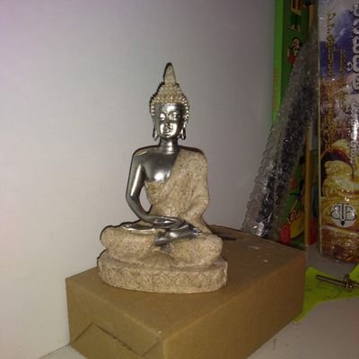 StayTund4ManjuG's profile picture. we forget so much more than we remember
