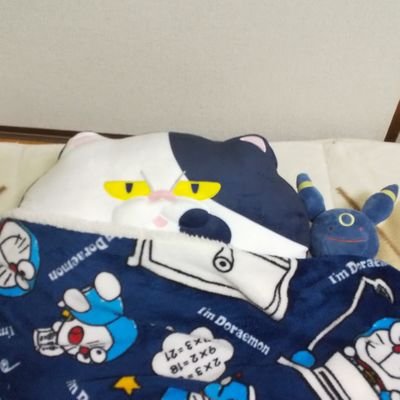 サーモンラダー 信夫 エンジョイ勢🌲さんのプロフィール画像