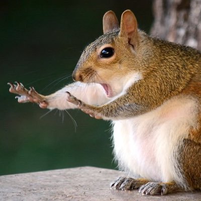 _TumeloD's profile picture. 