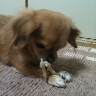 you_sukezan's profile picture. 