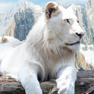 starksecurity1's profile picture. I hack stuff #hacking #OSCP #cybersecurity #crypto