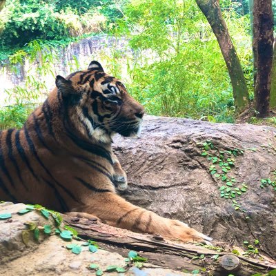 動物園飼育員Lv.2🔥動物園：いきものびより：双眼鏡とスマホを組み合わせて撮影してるので謎の丸いフレームがついてる写真多めです📸