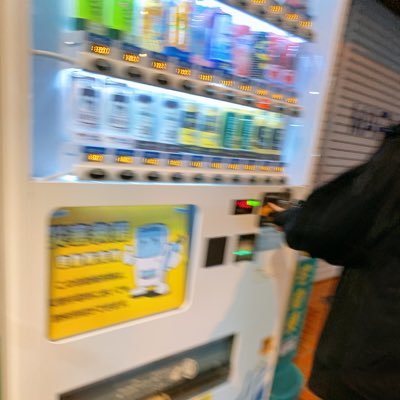 rwle3wMpcm2JhCc's profile picture. 元石川FJK 1-3