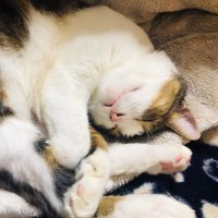 みっつ21 (@be4b2r) 's Twitter Profile