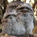 Bored Owls (@ABoredOwl1) Twitter profile photo