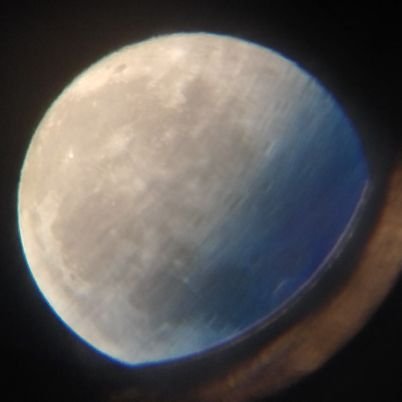 G1fyrHUSQ2Xt6CB's profile picture. 