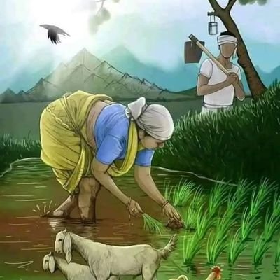 Joseph41982662's profile picture. 