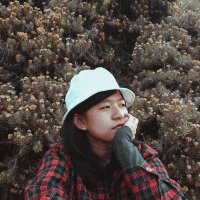 chingtya lim (@chingtyaa) 's Twitter Profile