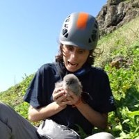 Elizabeth Atchoi (@elizabethatchoi) 's Twitter Profile